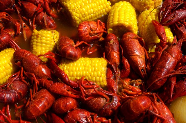 CrawfishWide08.jpg